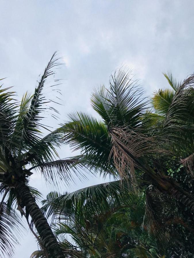 جارينو Chacara Recanto Paraiso المظهر الخارجي الصورة